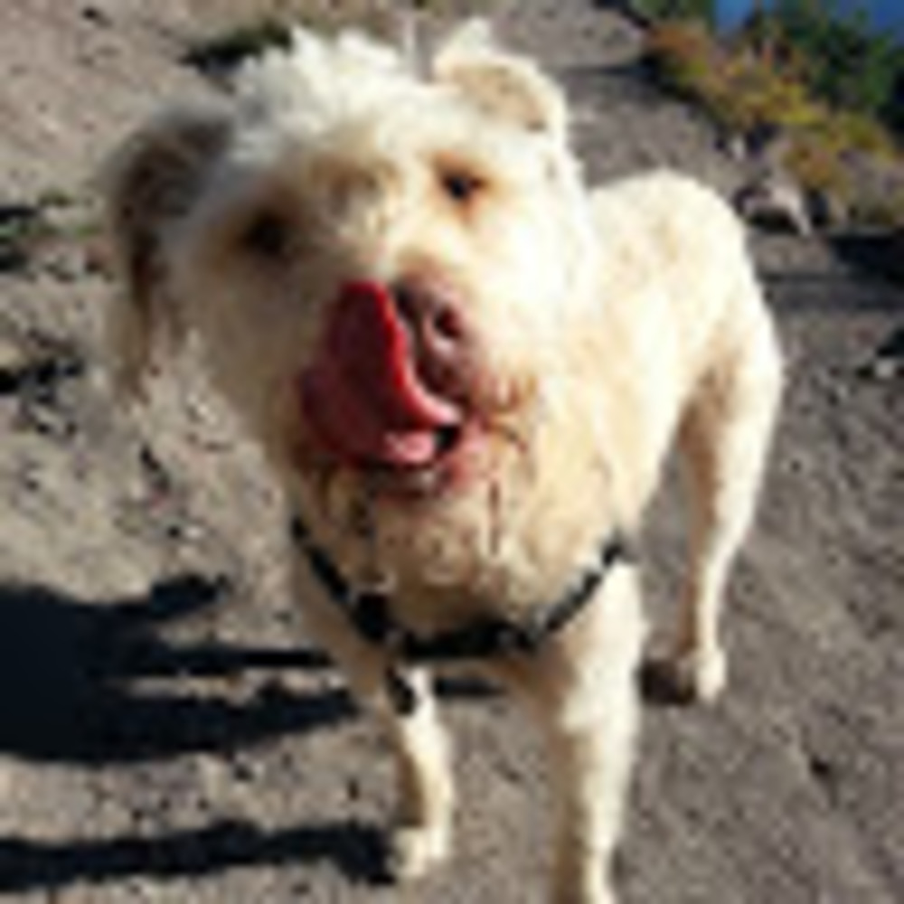 Meet your Posher, Whitnee